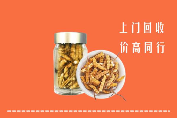 德州市回收冬虫夏草