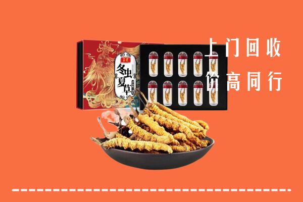 德州市回收虫草